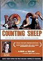 Counting Sheep