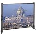 Photo : InFocus Table Top Portable Projection Screen 50"