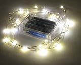 Battery Operated Warm White 20 LED Lights on 7ft 