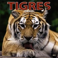 Tigres/ Tigers Wall Calendar: 2004