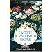 Favorite Swedish Recipes (Dover Cookbook Series)