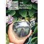 The Magician's Nephew ("The Chronicles of Narnia")