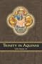 Trinity in Aquinas