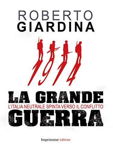 1914 la grande guerra (Italian Edition)