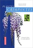 Plantes grimpantes : Comment les choisir et les cultiver facilement
