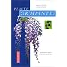Plantes grimpantes : Comment les choisir et les cultiver facilement