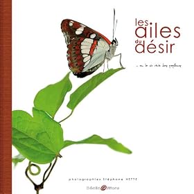 Les ailes du d�sir... o� la vie r�v�e des papillons