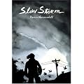 Slow Storm