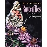 How to Spot Butterflies