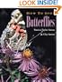 How to Spot Butterflies
