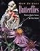 How to Spot Butterflies (How to Spot)