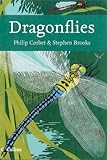 Dragonflies