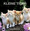 2012 Postkarten- kalender