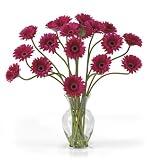 Gerber Daisy Liquid Illusion - B001DROZPA