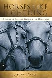 Horses like lightning : a story of passage through the Himalayas