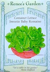 Container Lettuce Sweetie Baby Romaine Seeds 500 Seeds