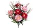 20 Zinnia/Bell Flower Bush x12 Beauty Pink (Pack of 12)