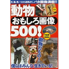 ������������摜500! (Bamboo Mook)