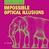 SuperVisions: Impossible Optical Illusions (Supervisions)