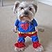 Alfie Pet - Superhero Costume - Color: Blue, Red & Yellow, Size: M