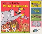 My first look at wild animals