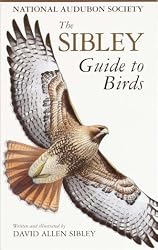 The Sibley Guide to Birds
