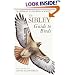 The Sibley Guide to Birds