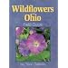 Wildflowers of Ohio Field Guide (Field Guides)