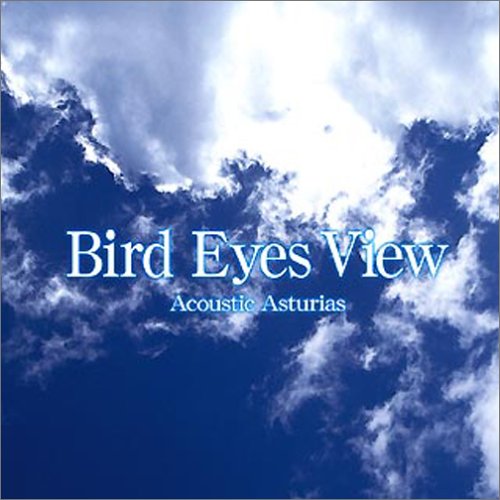 Bird Eyes View   Acoustic Asturias