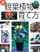 失敗しない観葉植物の育て方