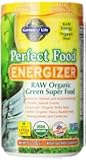 Garden of Life Perfect Food&reg; RAW - Energizer Raw Organic  Green Super Food Powder, 282g Powder