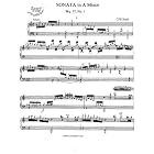 Buy Bach C.P.E. Sonata in A Minor: Instantly download and print sheet music by C.P.E. Bach