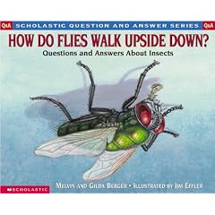 How Do Flies Walk Upside Down?: Questions and Answers About Insects (Question and Answer)