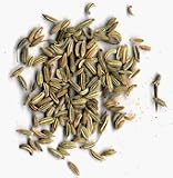Fennel Seeds (Whole), 1-Pound