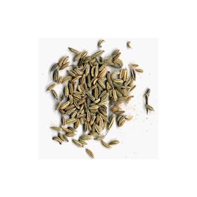 Fennel Seeds (Whole), 1-Pound