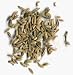 Gourmet Food : One pound Whole Fennel seed