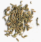 One pound Ground Fennel seed by Butcher and Packer