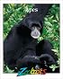 Apes (Zoobooks Series)