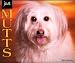 Book Just Mutts 2004 Calendar