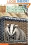 Badger in the Basement (Animal Ark Series #6)