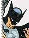 Batman Journal