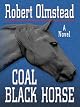 Coal Black Horse