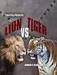 Lion Vs. Tiger (Animals Head to Head)
