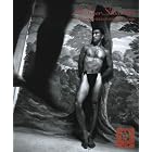 Saint Sebastian: Or A Splendid Readiness For Death by Wolfgang Tillmans, Luigi Ontani, Paul Schrader, and Louise Bourgeois