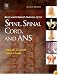 Basic and Clinical Anatomy of the Spine, Spinal Cord, and ANS