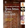 Basic and Clinical Anatomy of the Spine, Spinal Cord, and ANS