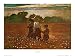 In the Mowing Art Poster Print by Winslow Homer, 11x8