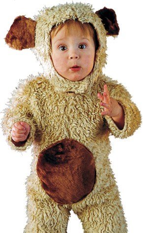 Bear Oatmeal Toddler Costume