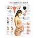 Pregnancy and Birth Chart