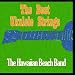 The Best Ukulele Strings